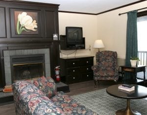 Twin Fern Livingroom Area