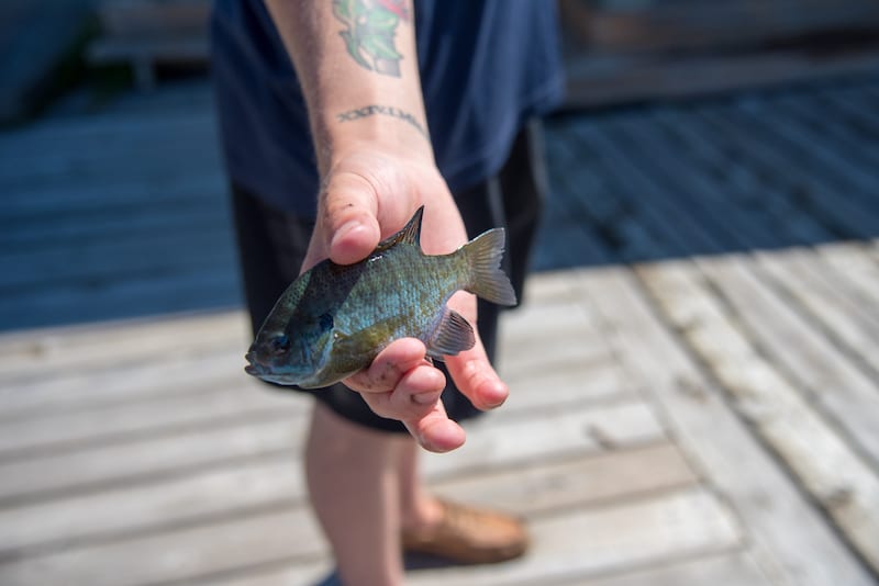 fishing at Fern Resort